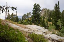 On the ridge [sat aug 23 14:18:53 mdt 2025]